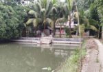 মাদারীপুরের ডাসার বাড়ি বিক্রি।