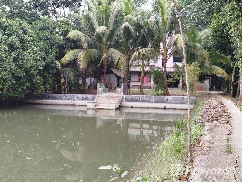 মাদারীপুরের ডাসার বাড়ি বিক্রি।