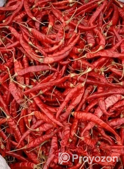 শুকনো মরিচ