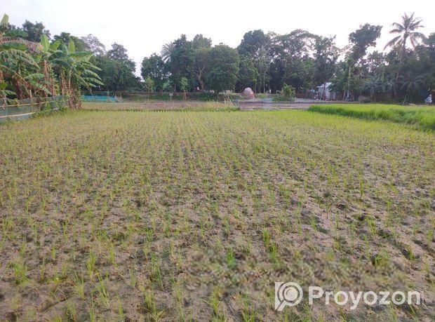 জমি বিক্রি হবে