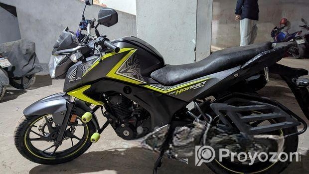 Honda Hornet . 2019