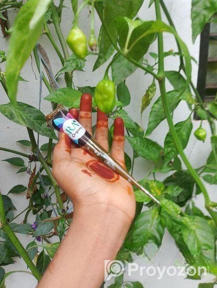 অর্গানিক মেহেদী