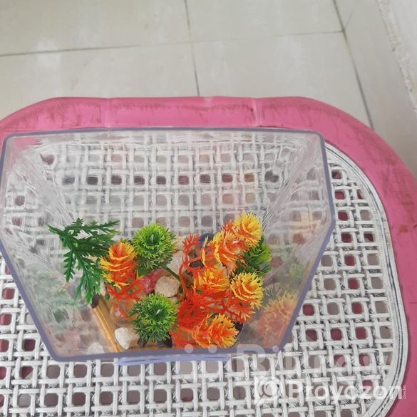 ছোটো একুরিএকুরিয়াম