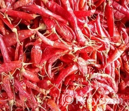 শুকনো মরিচ