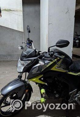 Honda Hornet . 2019