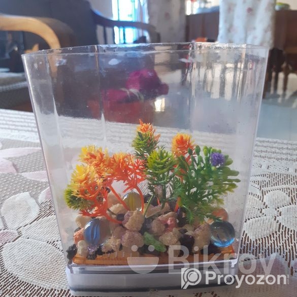 ছোটো একুরিএকুরিয়াম