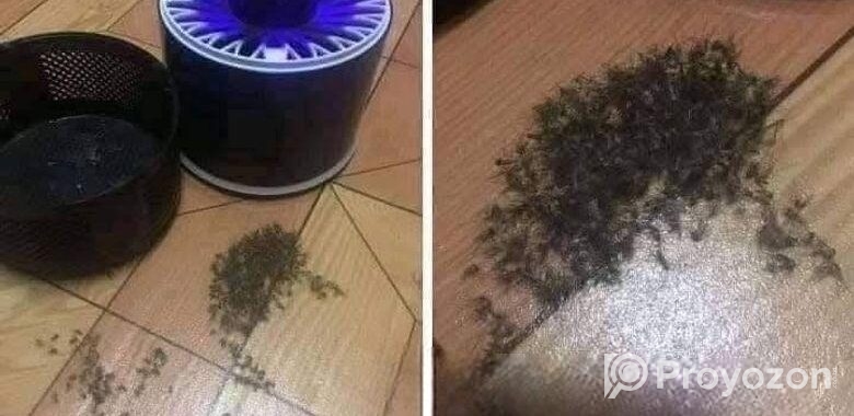mosquito killer lamp