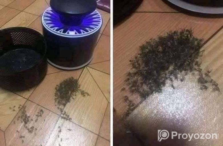 mosquito killer lamp