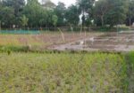 জমি বিক্রি হবে