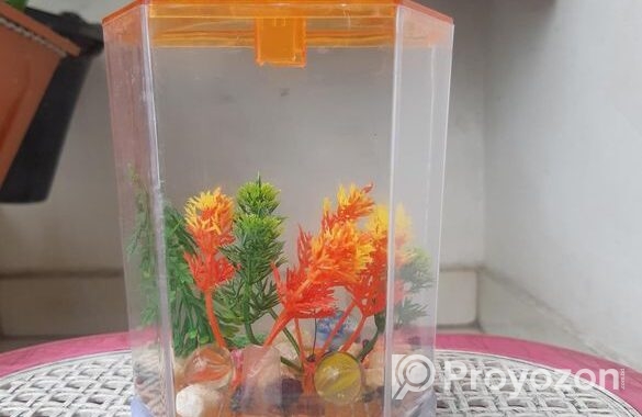 ছোটো একুরিএকুরিয়াম