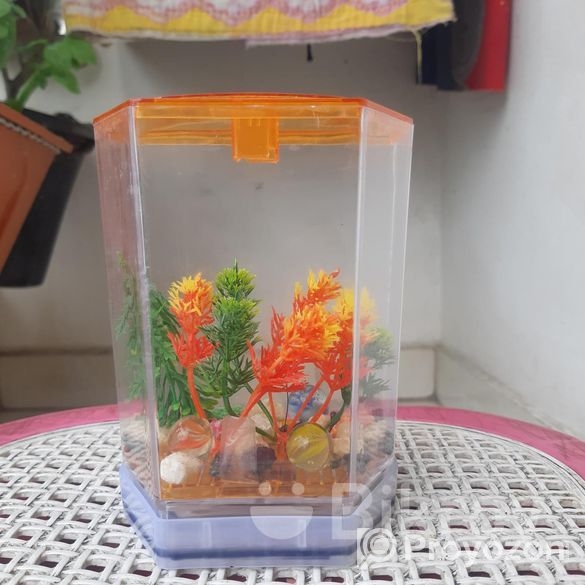 ছোটো একুরিএকুরিয়াম