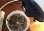 mosquito killer lamp