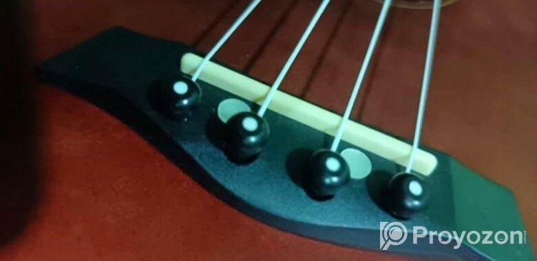 Ukulele ( উকুলেলে) Kabat Brand