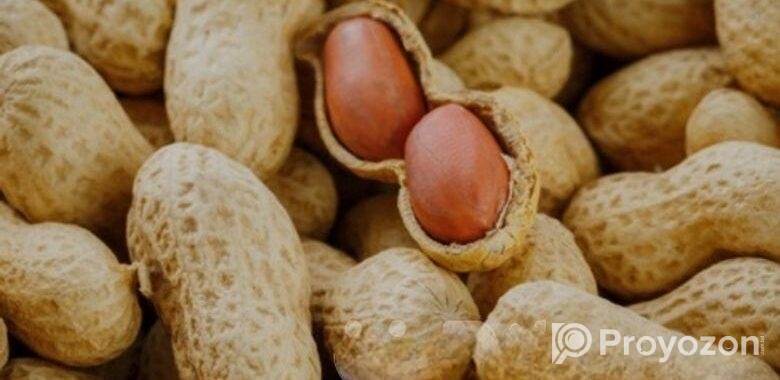 কাঁচা দেশি বাদাম পোস্ট করা হয়েছে ১৪ জুলাই ৩:১