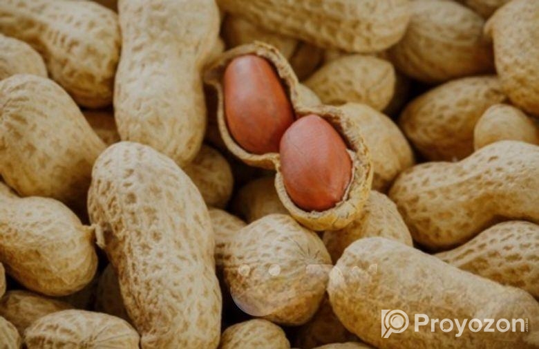 কাঁচা দেশি বাদাম পোস্ট করা হয়েছে ১৪ জুলাই ৩:১