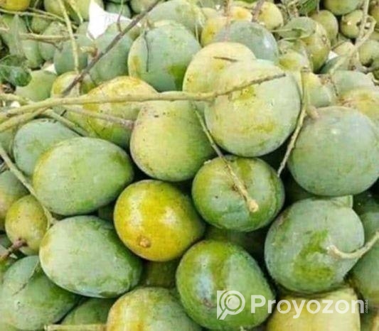হিম সাগর আম