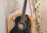 AXE AG-15-Bk Guiter