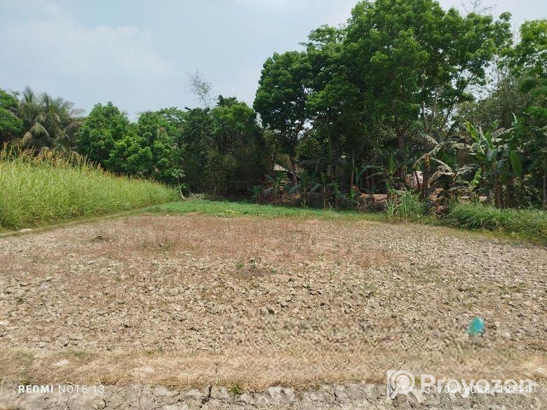 জমি বিক্রি করবো ১৬ শতাংশ