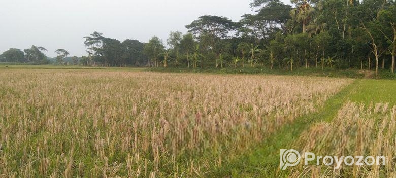 জমি বিক্রি ৫২ শতাংশ [২৬ করা]