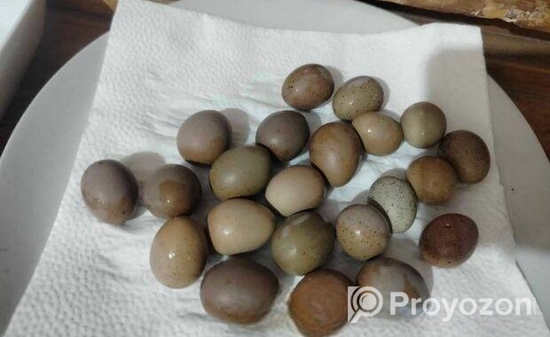 কিং কোয়েলে