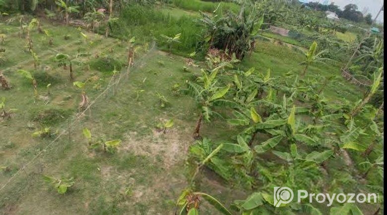 বাড়িঘড়, ফার্ম বা যে কোন প্রকল্প করা যাবে আর সারা ব