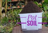 Pot Soil 25 kg pack