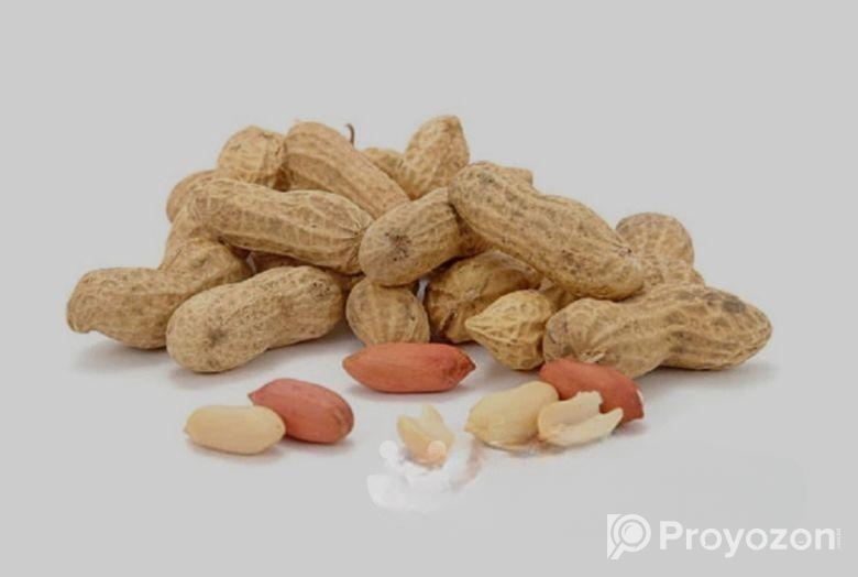 কাঁচা দেশি বাদাম পোস্ট করা হয়েছে ১৪ জুলাই ৩:১