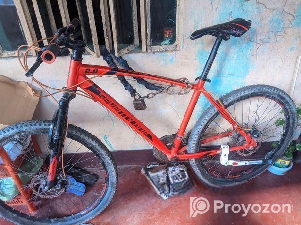 Seventy one 2.0 cycle