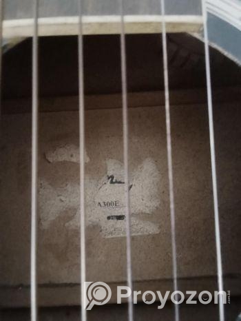 Ibanez A300E pure acoustic guitar.