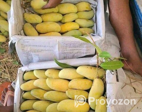 ব্যানানা আম বিক্রি হবে