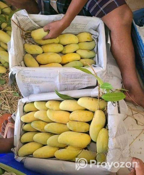 ব্যানানা আম বিক্রি হবে