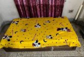 Box Bed (6.37 feet by 4 )