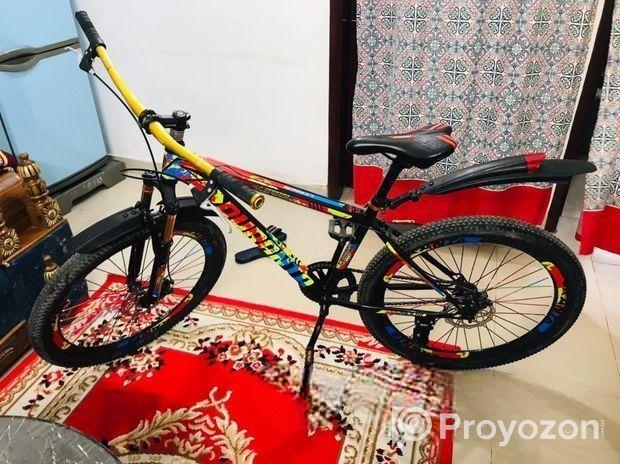 দুরন্ত বাইসাইকেল