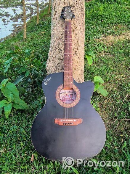 গিটারটি বিক্রি করা হবে