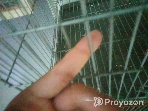 24″18″ pakhir khaca