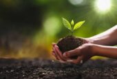 Vermi Compost 1 Kg Pack
