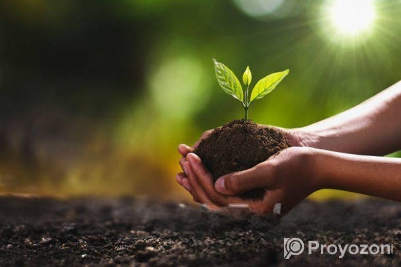 Vermi Compost 1 Kg Pack