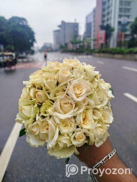 Wedding Photographer