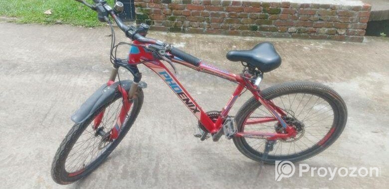 ফনিক্স সাইকেল বিক্রি হবে