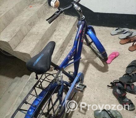 Duronto 24″ bicycle