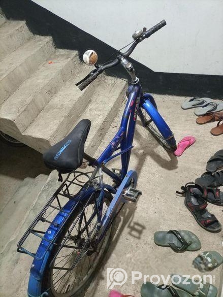 Duronto 24″ bicycle