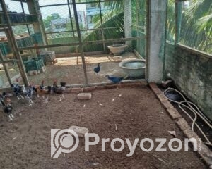 fitted-34_2025-07-28_12-32-09