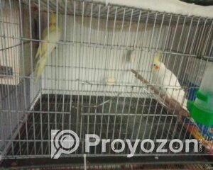 fitted-34_2025-07-29_20-00-27