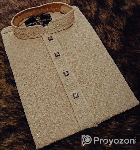 ইন্ডিয়ান চিকেন কারি পাঞ্জাবি