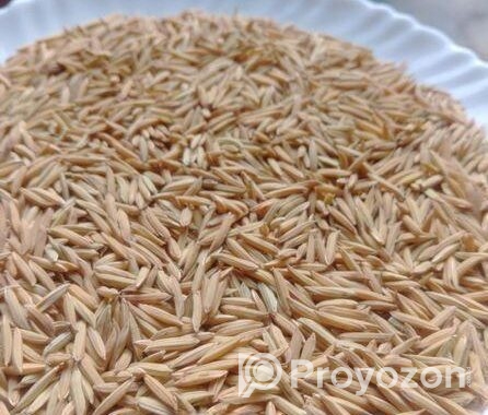 পাকিস্তানি বাসমতী ধানের বীজ