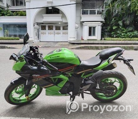 Kawasaki Ninja 125 2019