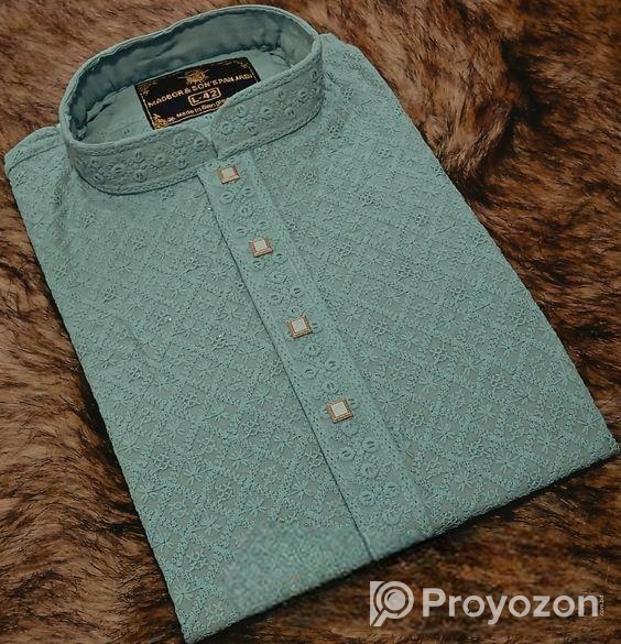 ইন্ডিয়ান চিকেন কারি পাঞ্জাবি