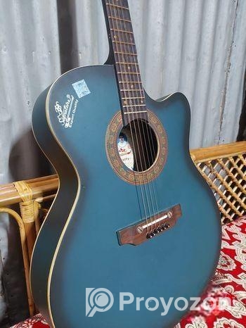 গিটার টি সেল করা হবে