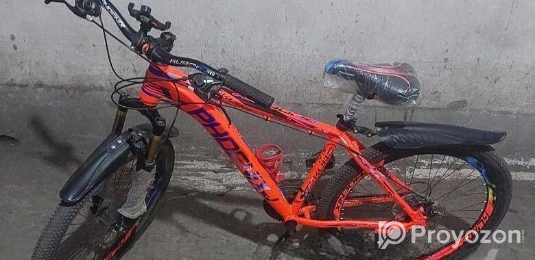 Phoenix Bicycle for sale