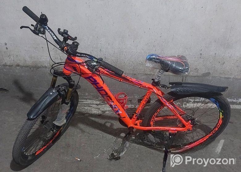 Phoenix Bicycle for sale